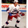 1991 Upper Deck Winnipeg Jets #381 Sergei Kharin