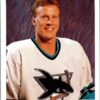 1991 Upper Deck San Jose Sharks #57 Brian Mullen
