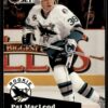 1991 Pro Set San Jose Sharks #559 Pat MacLeod RC Rookie