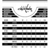 2013 Score Washington Capitals #516 Brooks Laich