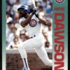 1992 Fleer Chicago Cubs #379 Andre Dawson