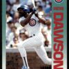 1992 Fleer Chicago Cubs #379 Andre Dawson