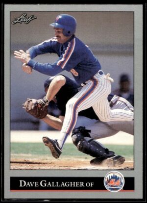 _10 1992 Leaf New York Mets #224 Dave Gallagher