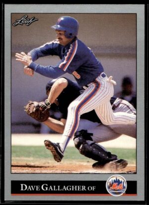 _10 1992 Leaf New York Mets #224 Dave Gallagher