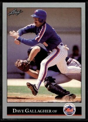 _10 1992 Leaf New York Mets #224 Dave Gallagher