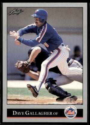 _10 1992 Leaf New York Mets #224 Dave Gallagher