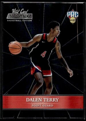 _10 2021 Wild Card Alumination #ABC-17 Dalen Terry