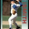 1992 Fleer Chicago Cubs #391 Dave Smith