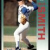 1992 Fleer Chicago Cubs #391 Dave Smith
