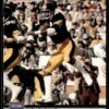 1990 Pro Set Super Bowl 160 Pittsburgh Steelers #101 Mel Blount