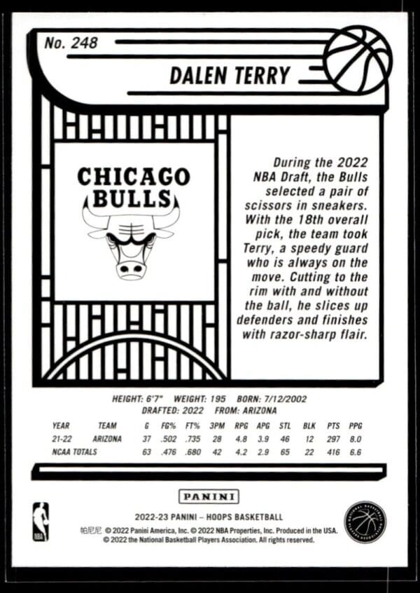_10 2022 NBA Hoops Chicago Bulls #248 Dalen Terry RC Rookie