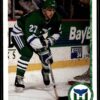1990 Upper Deck Hartford Whalers #87 Scott Young