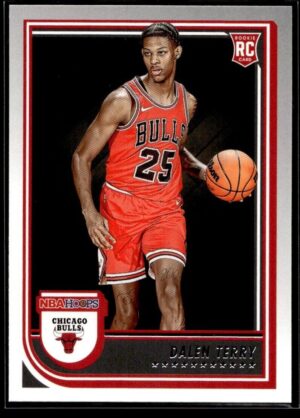 _10 2022 NBA Hoops Chicago Bulls #248 Dalen Terry RC Rookie