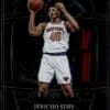 2021 Panini Select New York Knicks #87 Jericho Sims RC Rookie Concourse
