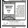 2022 Hoops Chicago Bulls #248 Dalen Terry RC Rookie