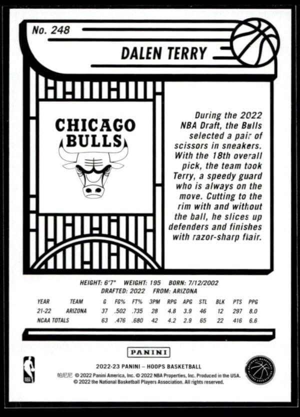2022 Hoops Chicago Bulls #248 Dalen Terry RC Rookie