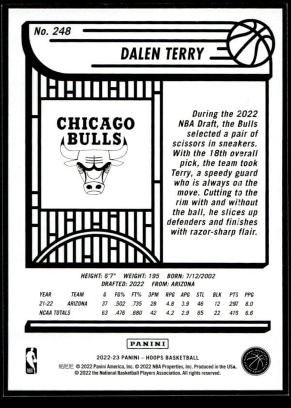 2022 Hoops Chicago Bulls #248 Dalen Terry RC Rookie