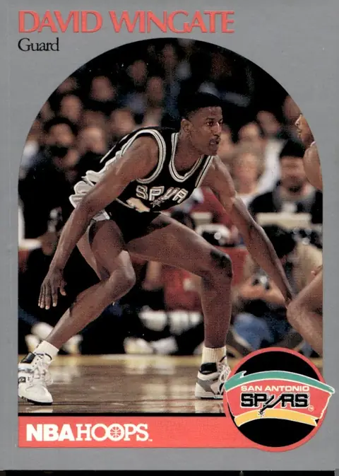 1990-91 NBA Hoops #273 David Wingate