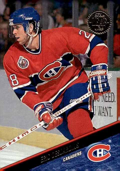 1993-94 Leaf #203 Eric Desjardins