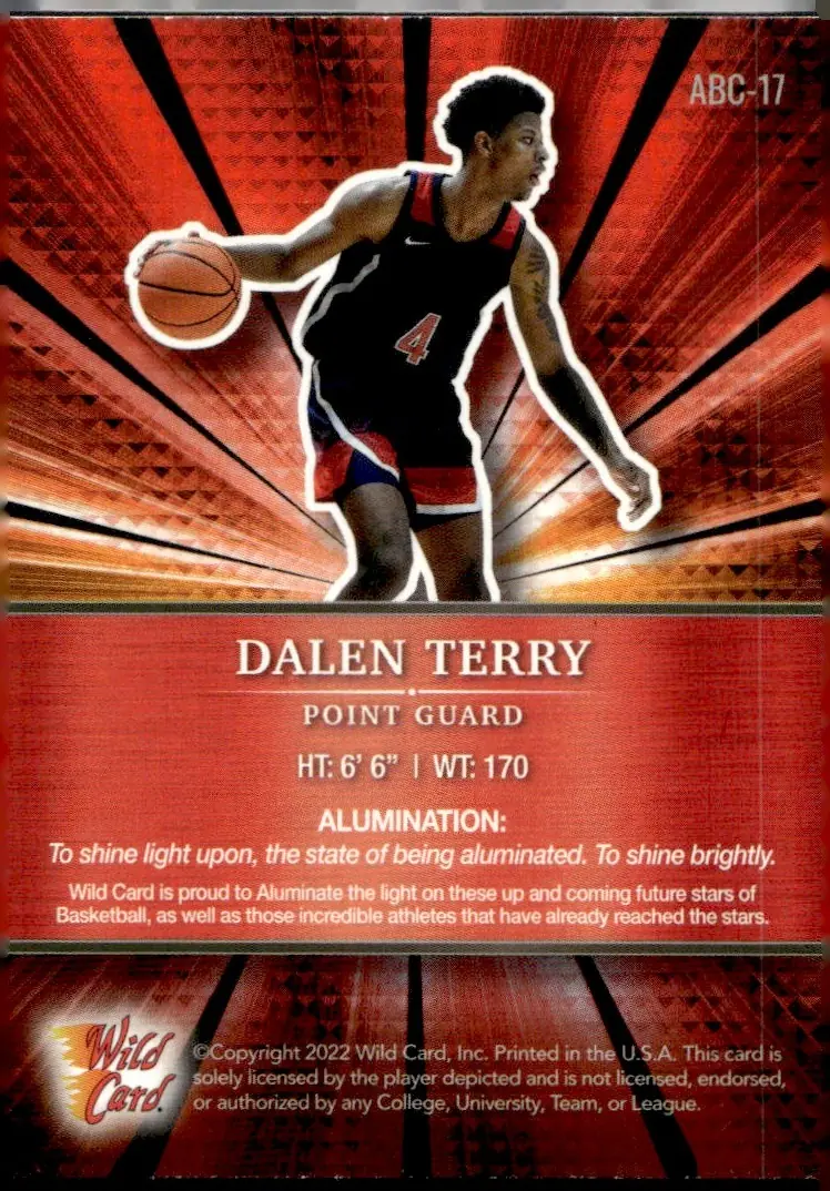2022 Wild Card Alumination Basketball Edition #ABC-17 Dalen Terry (back)
