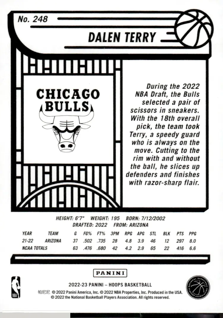 2022-23 NBA Hoops #248 Dalen Terry (back)