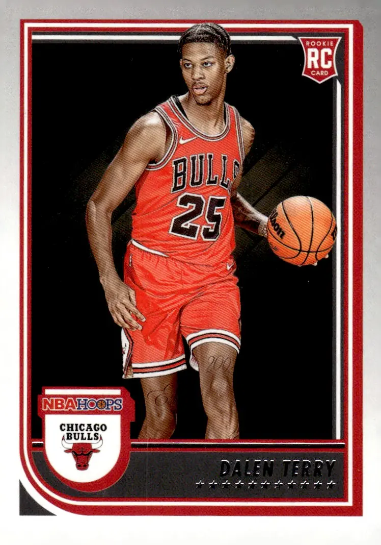2022-23 NBA Hoops #248 Dalen Terry (front)