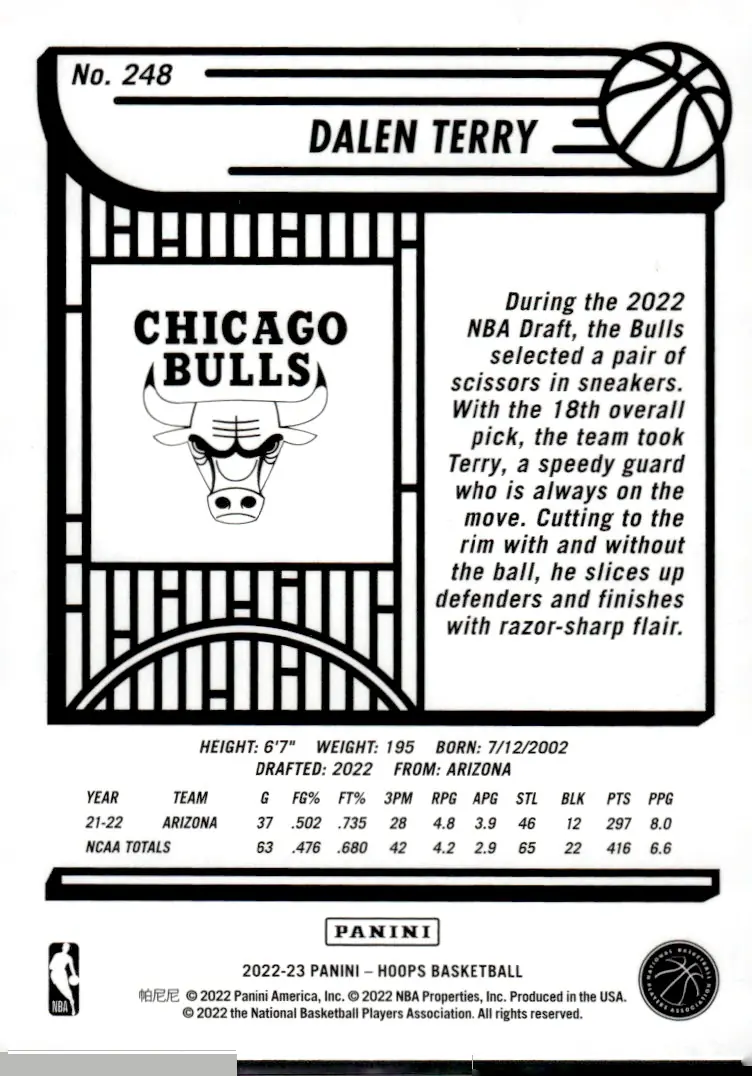 2022-23 NBA Hoops #248 Dalen Terry (back)