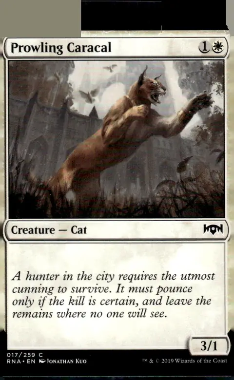2019 Ravnica Allegiance (RNA) #017/259 Prowling Caracal