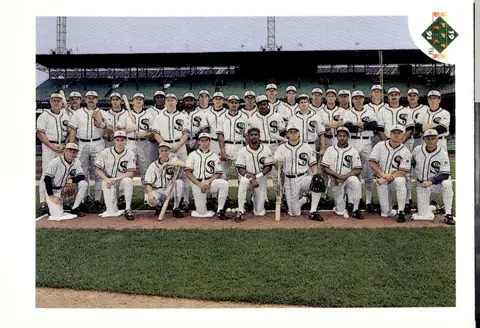 1991 Upper Deck #617 Chicago White Sox Team
