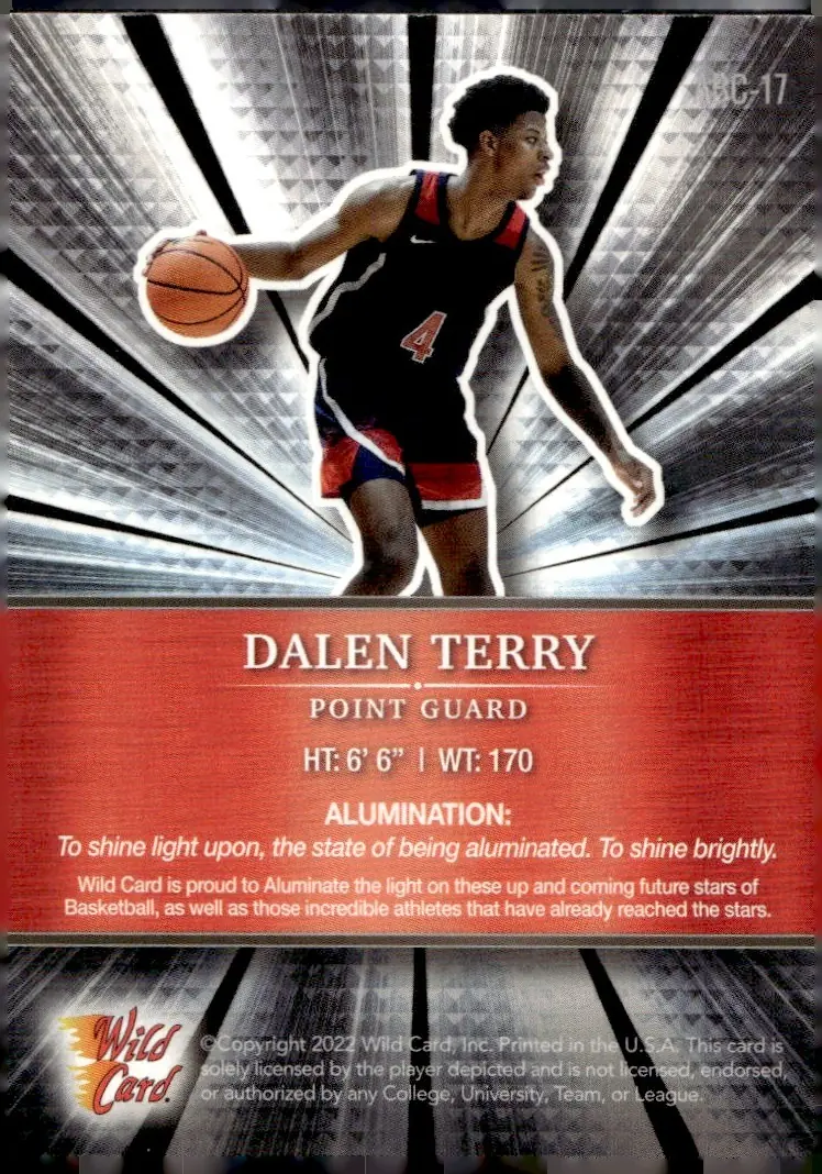 2021-22 Wild Card Alumination Basketball Edition #ABC-17 Dalen Terry (back)